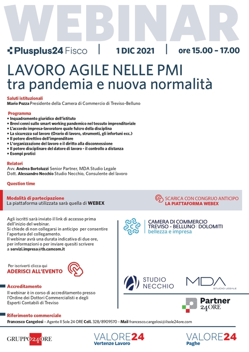 Immagine Agile working in SMEs between pandemic and new normality