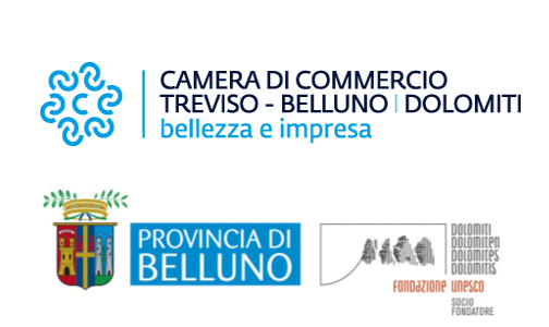 Bando “Sviluppo di un nuovo modello di intervento per garantire i servizi essenziali nelle aree marginali attraverso il sostegno dei negozi polifunzionali”