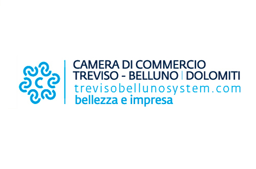 2016 – 2018 New corporate identity and website of the Treviso-Belluno Chamber of Commerce