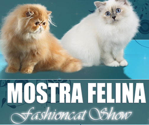 V Esposizione Internazionale Felina delle Dolomiti c/o Longarone Fiere (BL) . Sabato 26 e Domenica 27 agosto