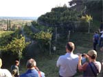 Prosecco Superiore:  nuovo appuntamento dedicato alla ricerca
