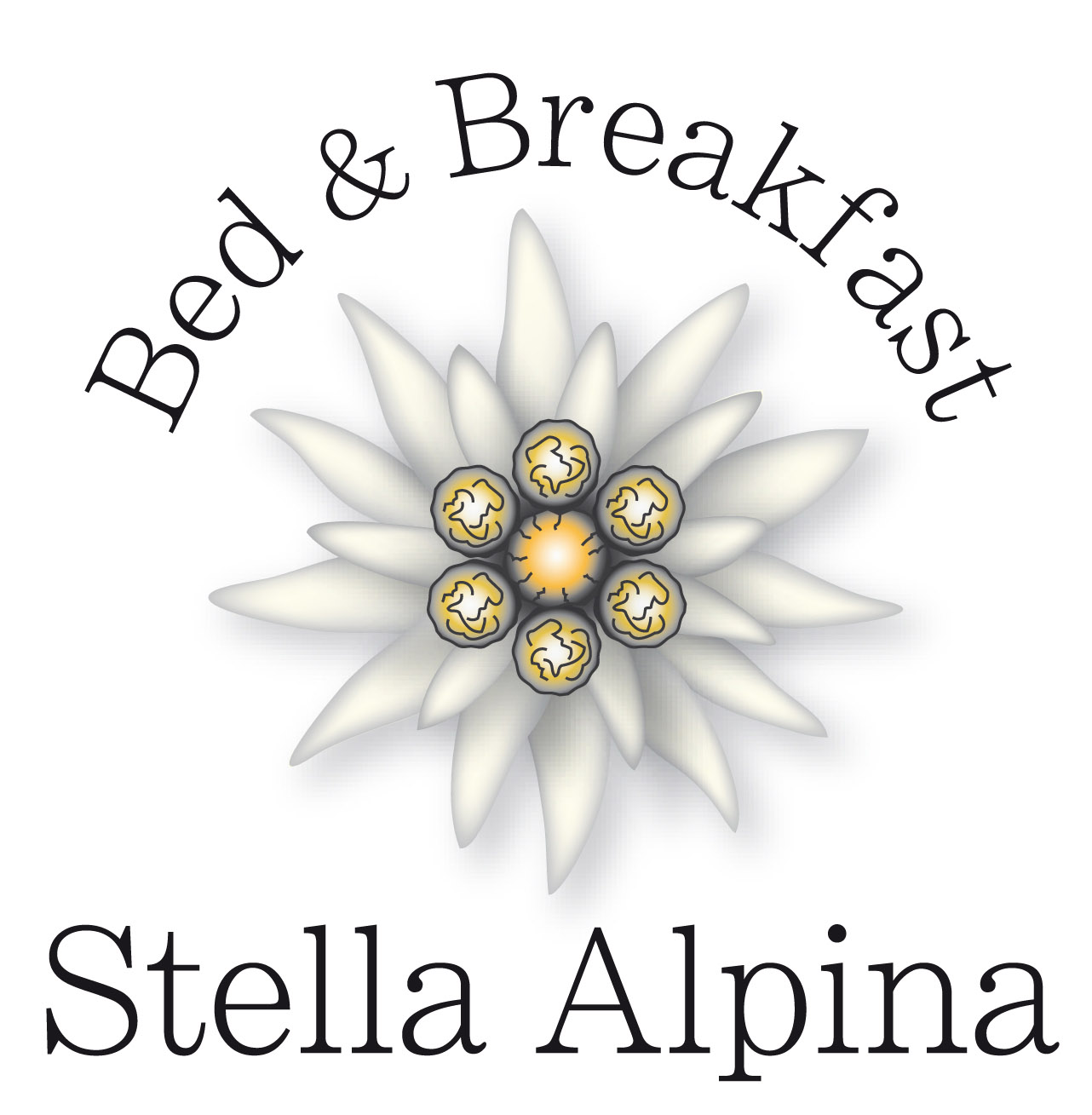 #Belluno B&B Stella Alpina di Caldara Stefanella