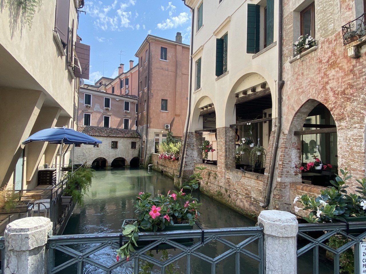 treviso 12