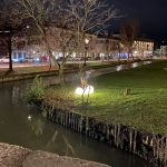 IMG 4225