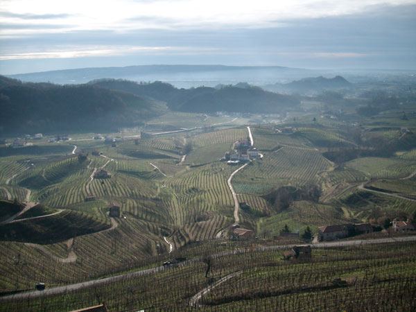 #Column Savour the scent of Prosecco in the hills of Conegliano and Valdobbiadene