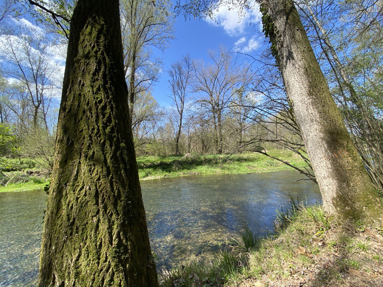 RiverPiave FiumePiave
