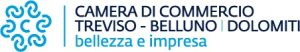 Logo CCIAA Treviso - Belluno Logo CCIAA Treviso - Belluno