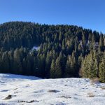 Grappa Grappa