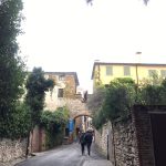 IMG 3600