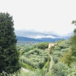 IMG 3661[1]