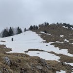 grappa