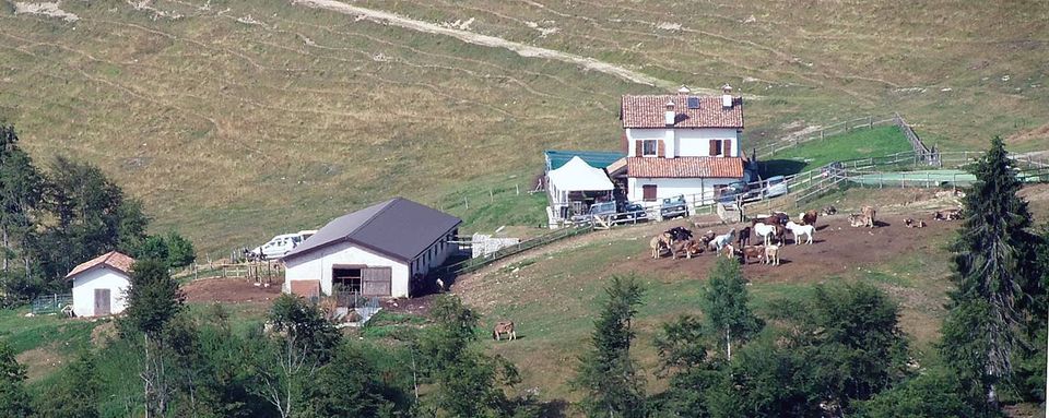 Agriturismo Malga Canidi