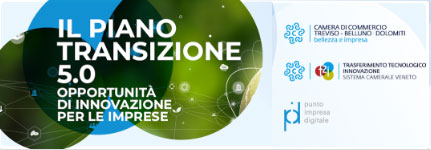 CCIAA t2i transizione5.0