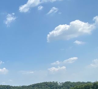Natura cielo alberi