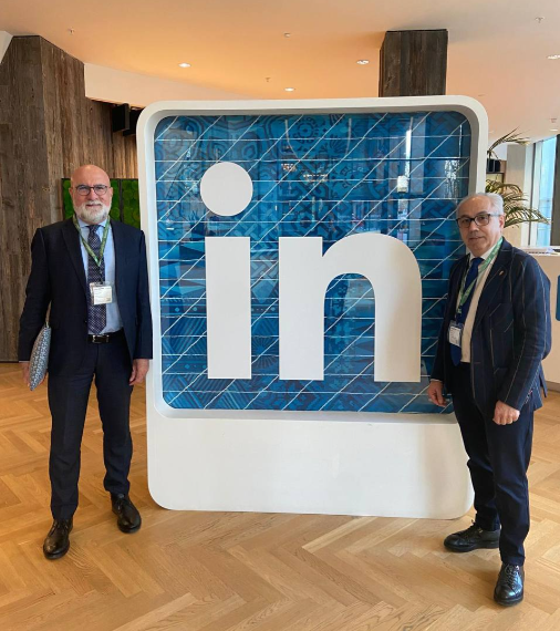 LinkedinDublino