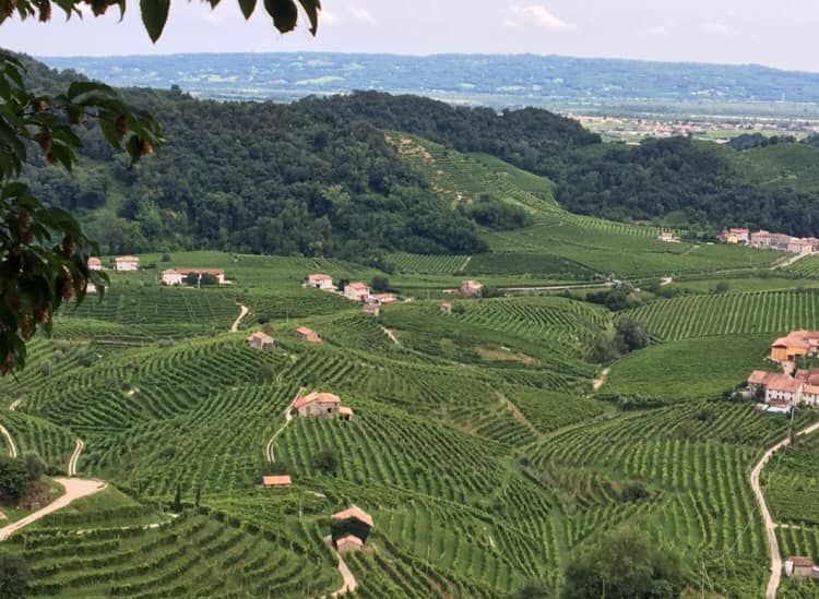 Colline Conegliano Valdobbiadene Prosecco