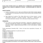 2comitato imprenditoria
