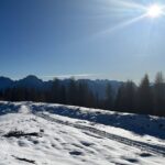 Foto che raffigura un panorama innevato con cime in lontananza, alberi e cielo sereno con sole che splende