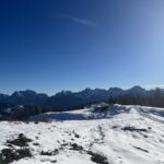 IFoto che raffigura un panorama innevato con cime in lontananza, alberi e cielo sereno e azzurro