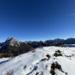 Foto che raffigura un panorama innevato con cime in lontananza, alberi e cielo sereno e azzurro