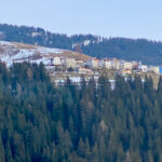 IMG 4696