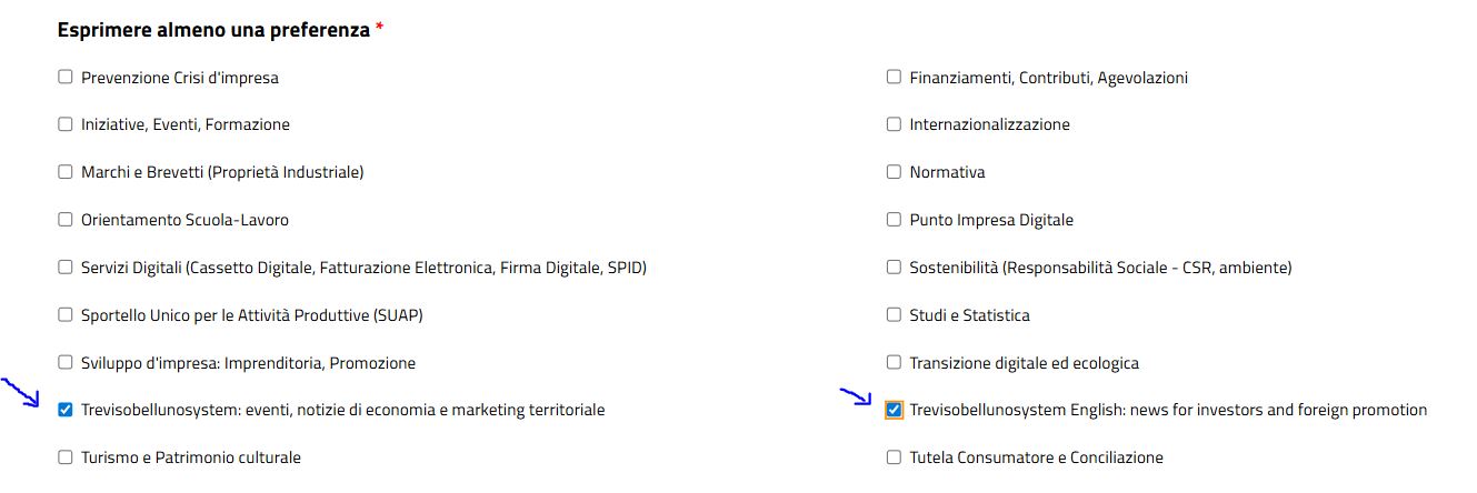 schema Preferenze Newsletter Trevisobelunosystem