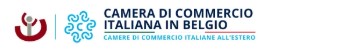 Camera di Commercio Belgo – Italiana. Corso web-live Agente di progetto