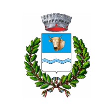 logo comune di vedelago