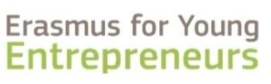 Logo scritto Erasmus for young in bordeaux , sotto entrepreneurs in verde