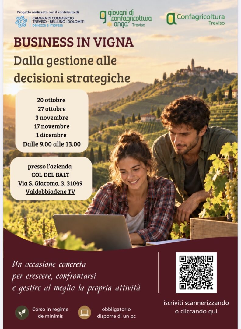 Al via il 20 ottobre Business in vigna: cinque mattinate a Valdobbiadene per imparare il costo reale di una bottiglia, l’impatto dei dazi e come si costruisce un cash flow a 12 mesi