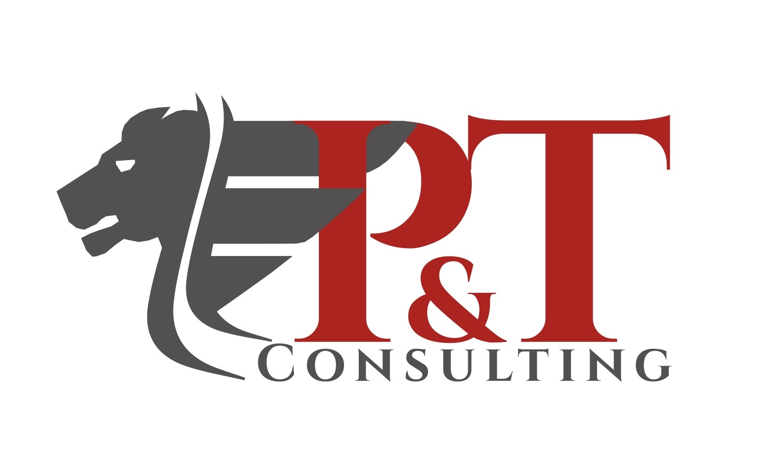 logo P&t Consulting S.A.S. Di Dalila Karina Tolomeo & C.